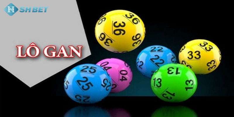 Banner www.haophongvpp.com