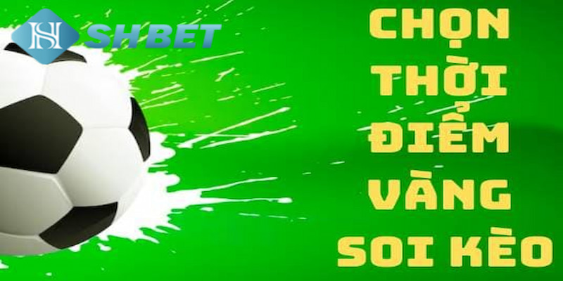 Banner www.haophongvpp.com