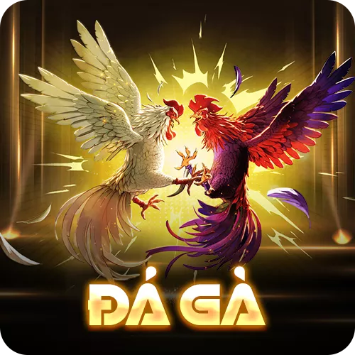 Banner www.haophongvpp.com