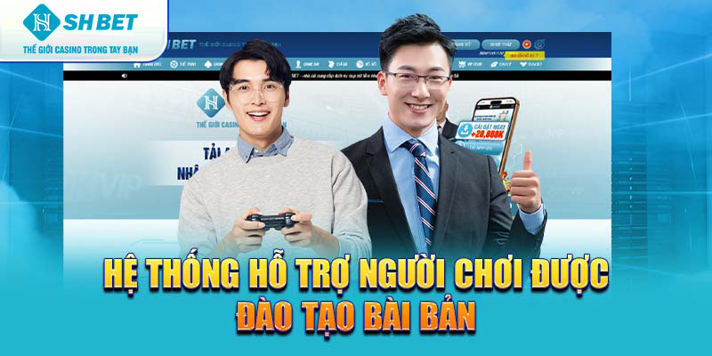 Banner www.haophongvpp.com