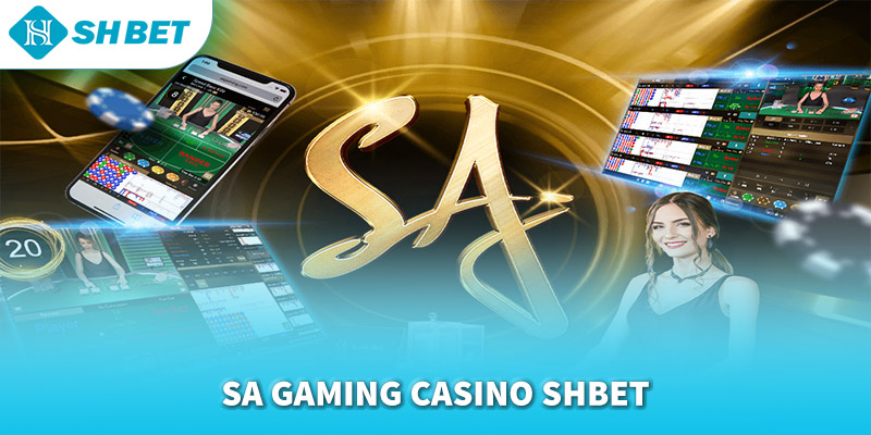 Banner www.haophongvpp.com