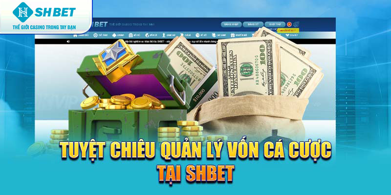 Banner www.haophongvpp.com