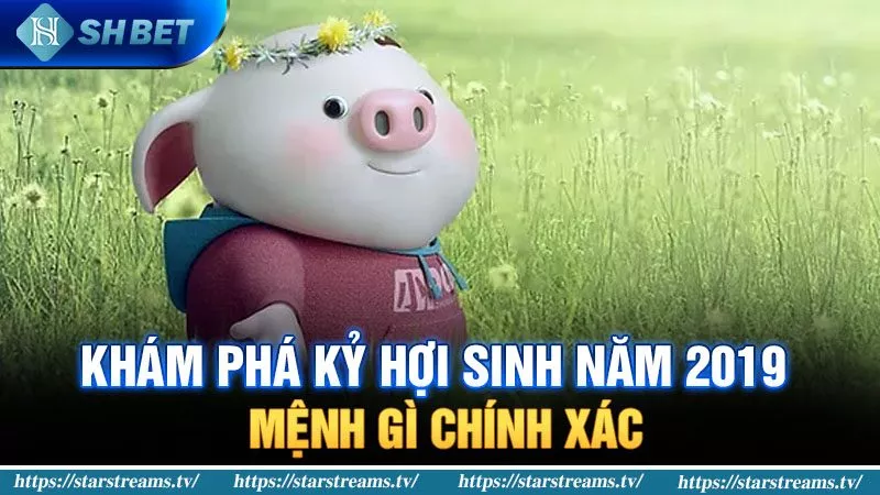 Banner www.haophongvpp.com